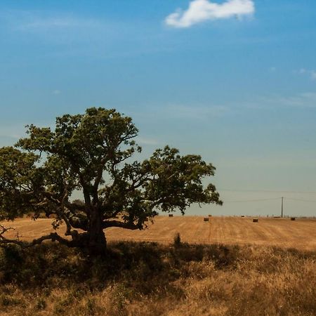 Гостевой дом Vales Do Alentejo Bicos Экстерьер фото